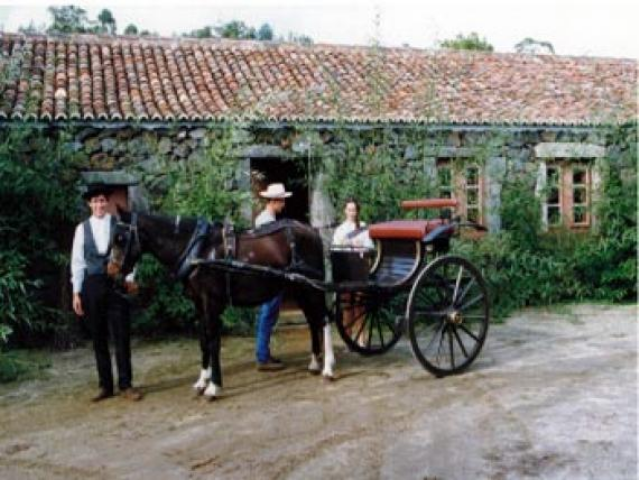 Equipamentos  (27)